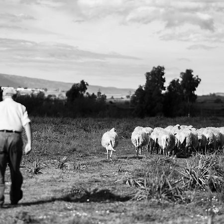 Binzas Betzas Agriturismo Sedilo Eksteriør bilde