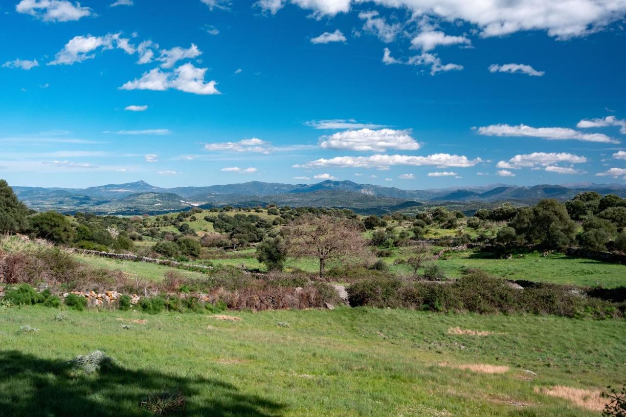 Binzas Betzas Agriturismo Sedilo Eksteriør bilde