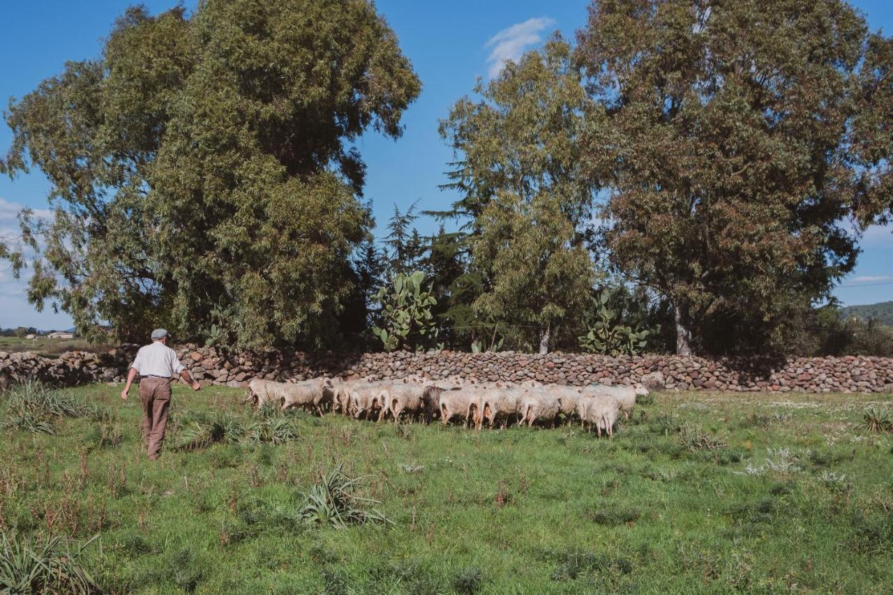 Binzas Betzas Agriturismo Sedilo Eksteriør bilde