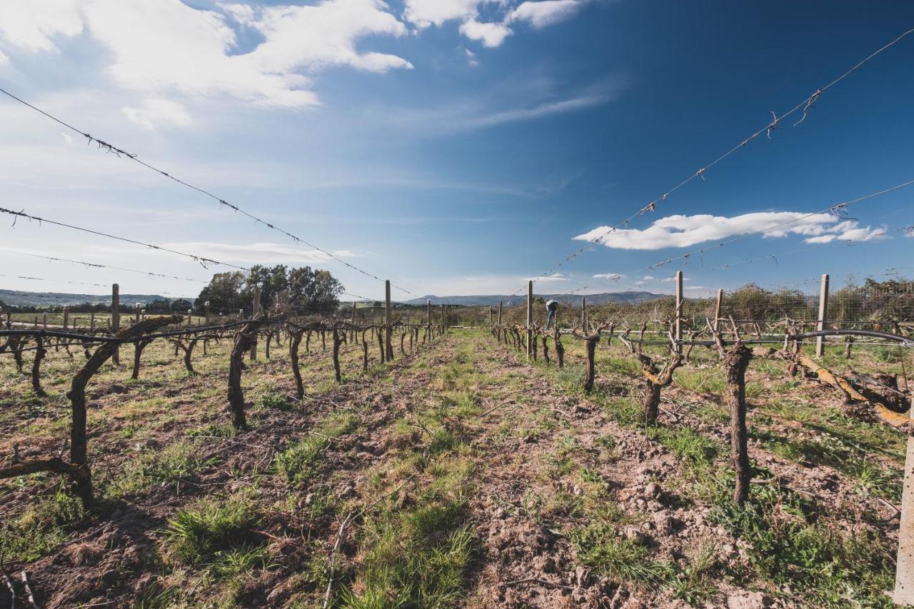 Binzas Betzas Agriturismo Sedilo Eksteriør bilde